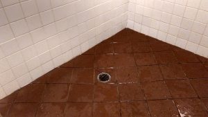 After!  White tile...check out that grout!  Mold build up is gone, shower floor is sanitized with our Mold and Fungus busting solution.