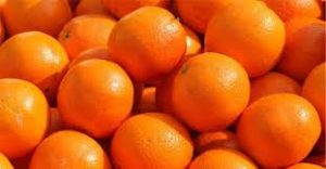 An array of oranges